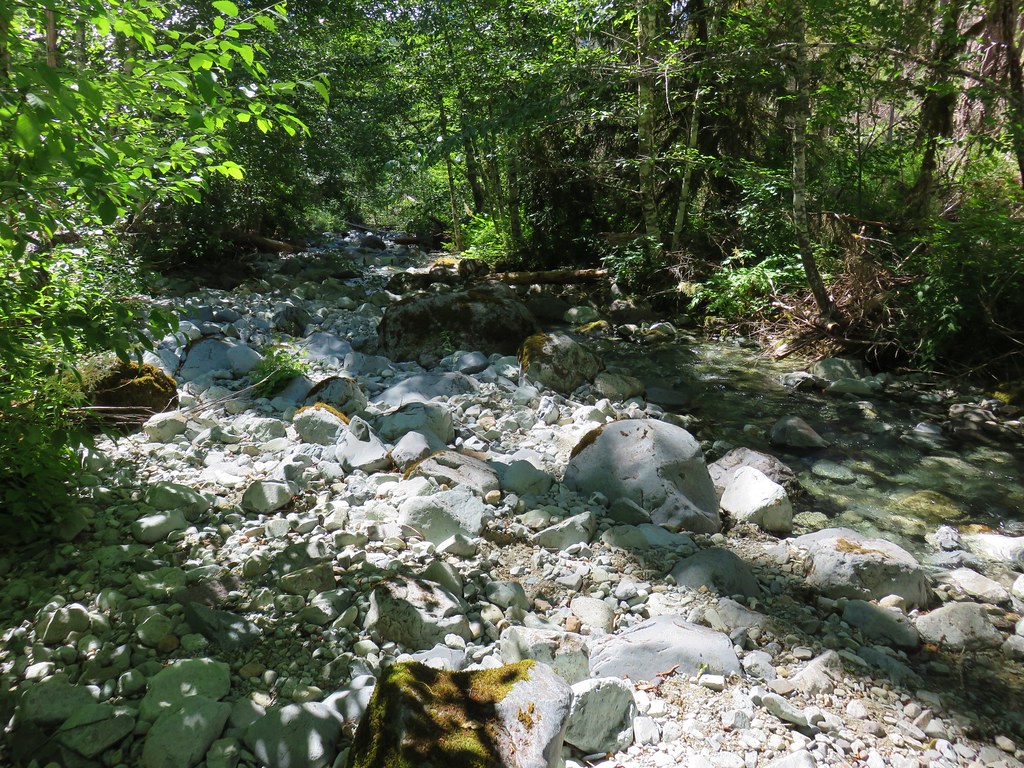 Mother Lode Creek
