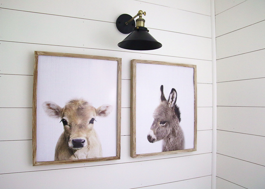 Baby Cow Donkey Prints Pictures