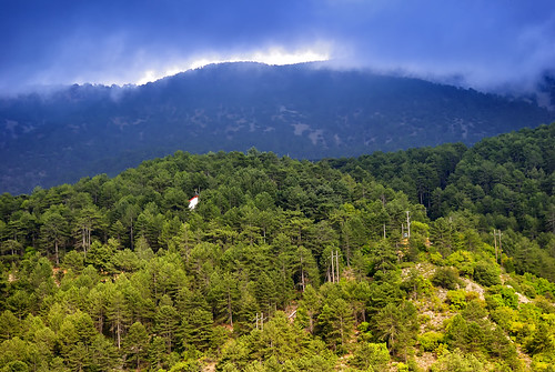 cyprus pedoulas troodos forest landscape cloudysky travel