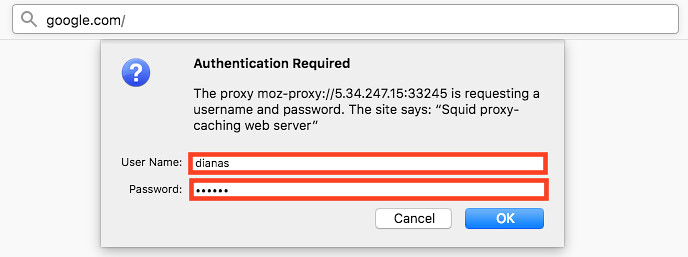 Mozilla Apply Proxy Settings