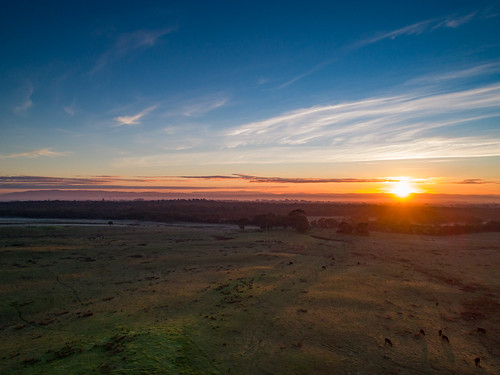 australia botanicridge clouds countryside farmland sky sunrise victoria aerialphotography djiaustralia djiglobal djiphantom4advanced dronelife dronephotography droneshot quadcopter ruralsunrise