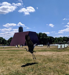 The heron and the Mastaba