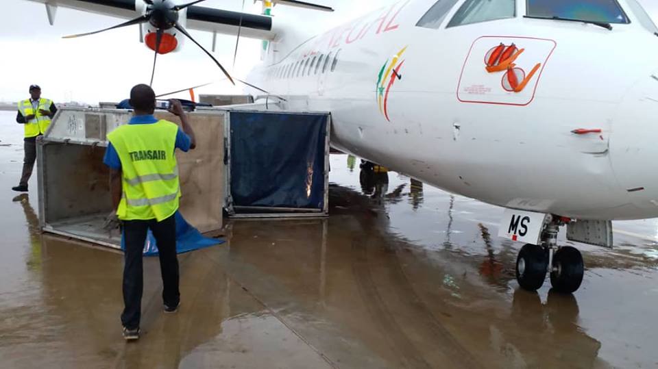 L'Aéroport International Blaise Diagne submergé par les fortes pluies, des avions cloués au sol et même détruits (15)