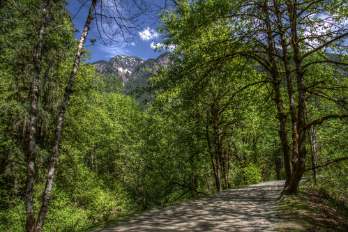 canada britishcolumbia coquihalla coquihallacanyon provincialpark hdr path trees outdoor sky trail