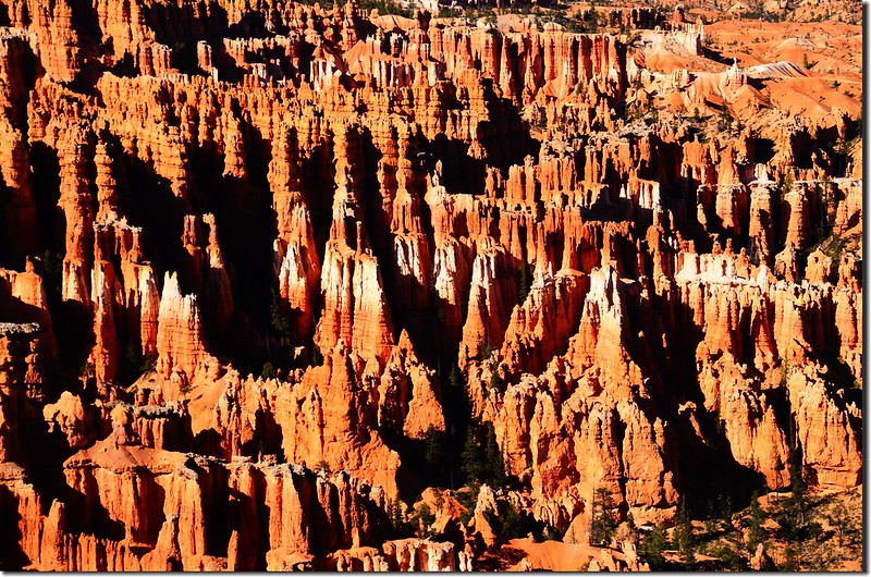 Inspiration Point, Bryce Canyon (11)