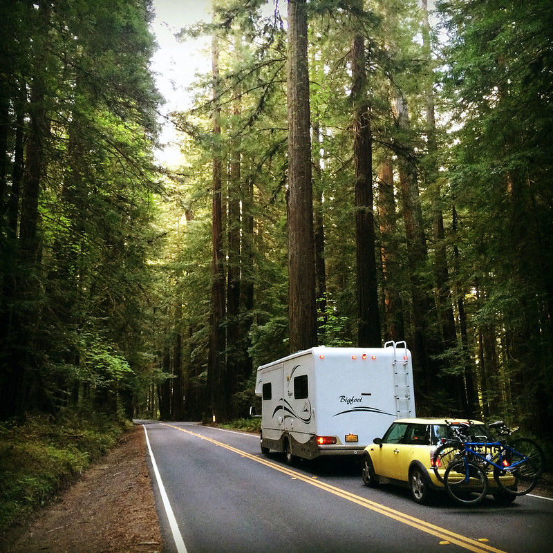 Driving through the Redwoods on a quiet Sunday morning