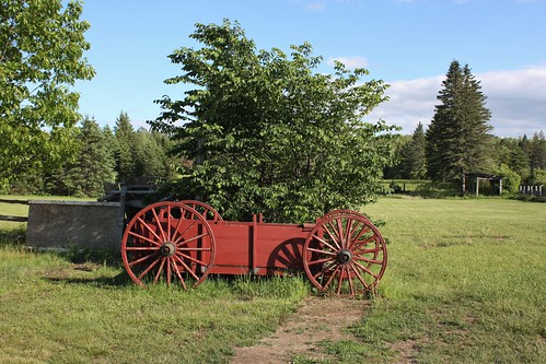 doaktown newbrunswick canada wagon historic heritage trees