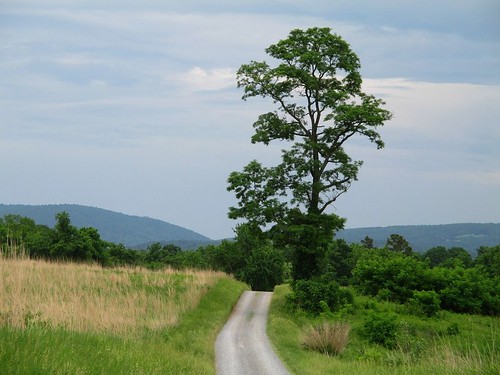 path statearboretumofvirginia clarkecounty virginia