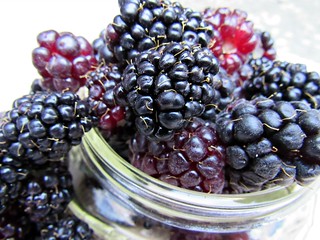 Berries, close up