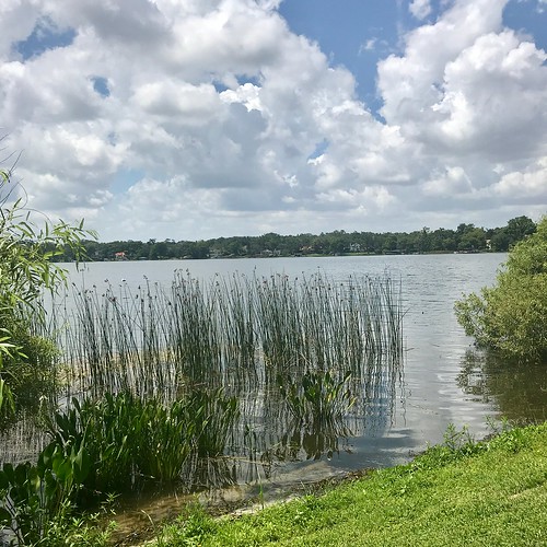 florida grass clouds water lake collegecampus rollins rollinscollege summer sky