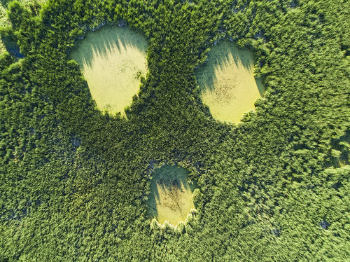 lol funny face emoji aerial picture pictures drone drones pond swamp haha monday summer 2018 dji djiphantom4