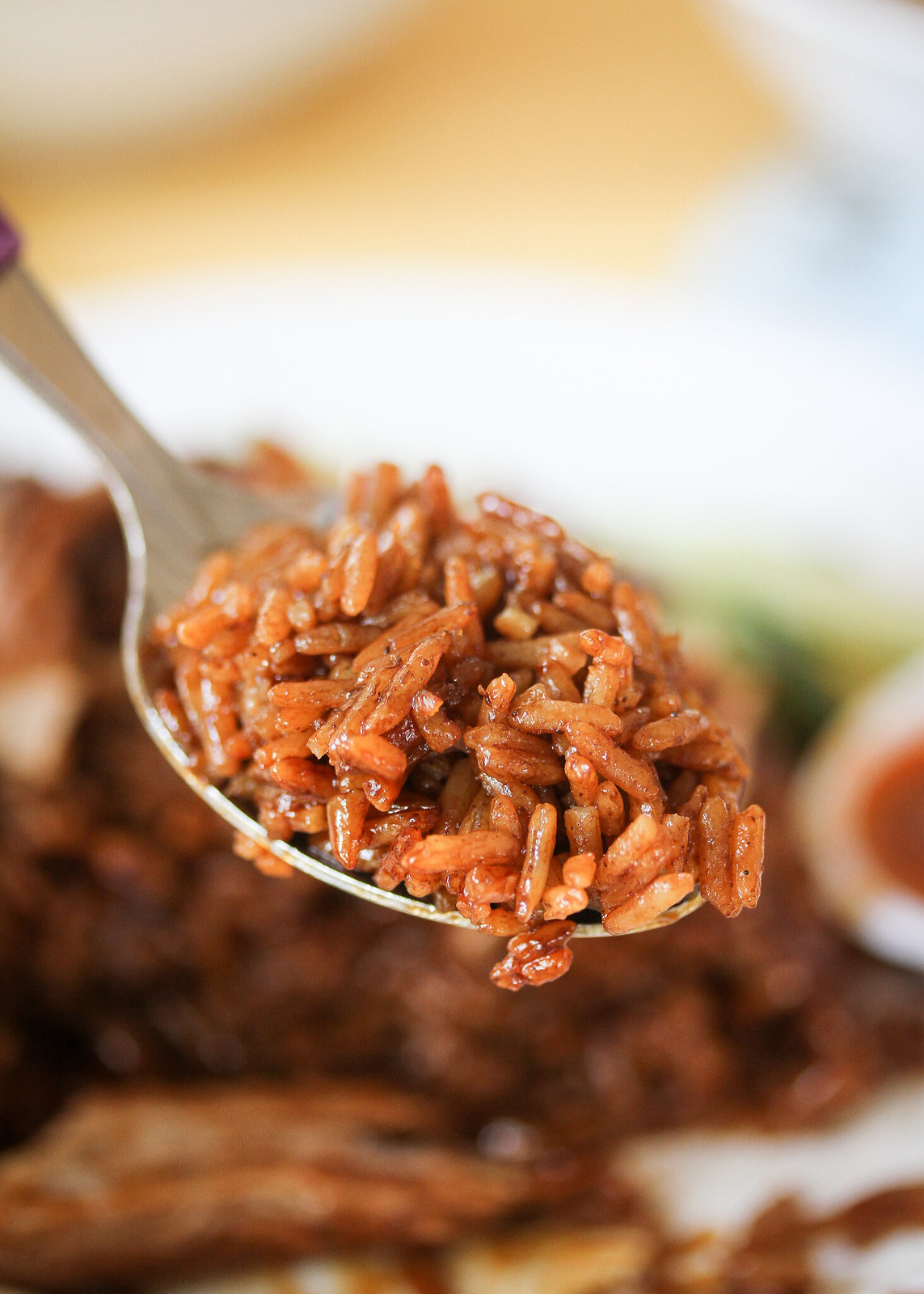 Chuan Kee Boneless Braised Duck Spoonful of Rice
