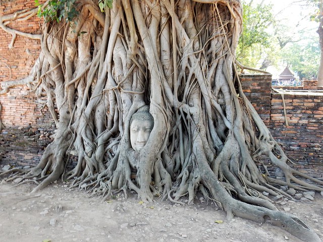 Ayutthaya, la antigua capital del reino - TAILANDIA POR LIBRE: TEMPLOS, ISLAS Y PLAYAS (13)