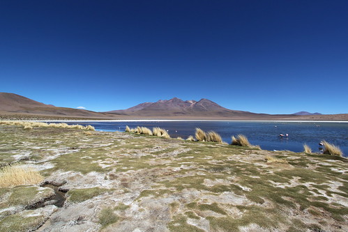 bolivie bolivia sudlipez sudamerica amériquedusud laguna lagunacanapa routedesjoyaux altiplano andes canon eos500d efs1022usm paysages voyage travel