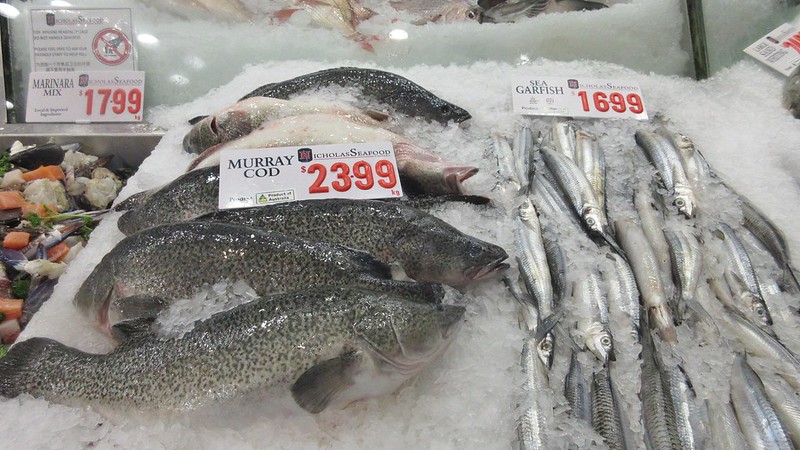Sensational Sydney Fish Market