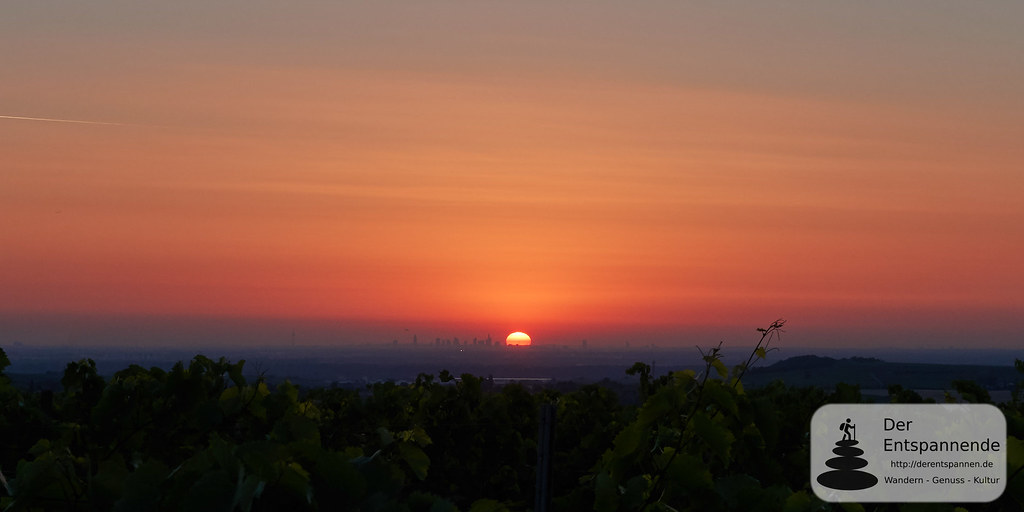 Sonnenaufgang über Weinbergen und Frankfurt