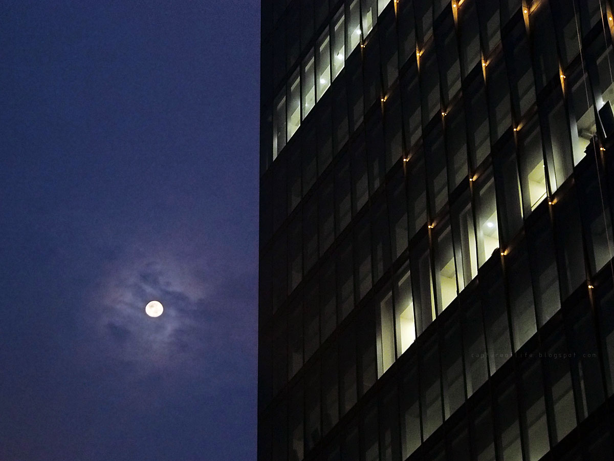 moon in the city