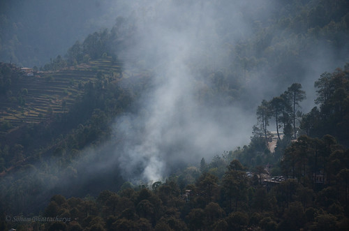 woods mountain himalayan forest fire morning wildfire stepfarming valley nikon d7000 uttrakhand india himalaya smog smoggy smoke kausani nature green landscape trees tree
