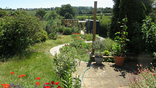 The Jelltex garden in Summer