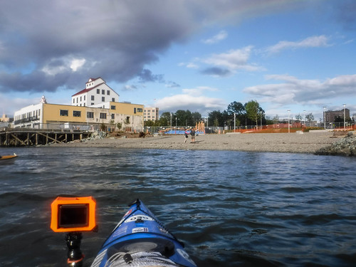 Bellingham Harbor with Moondance Kayaks-58