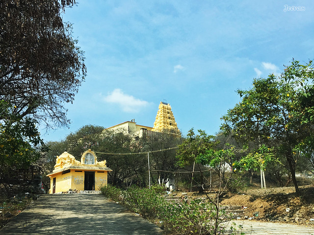 Bala Murugan Temple @ Palamathi Hills