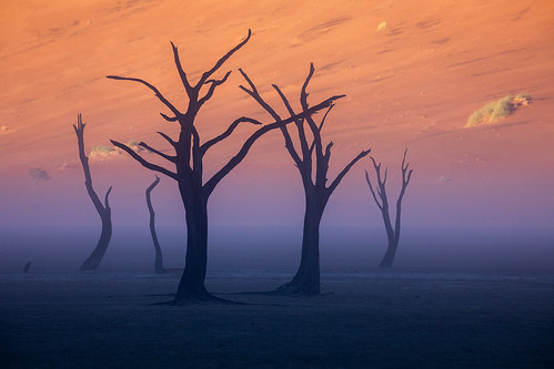 namibia namibdesert namibnaukluftnationalpark sossusvlei deadvlei sunrise mist fog rainstorm sanddunes surreal landscape