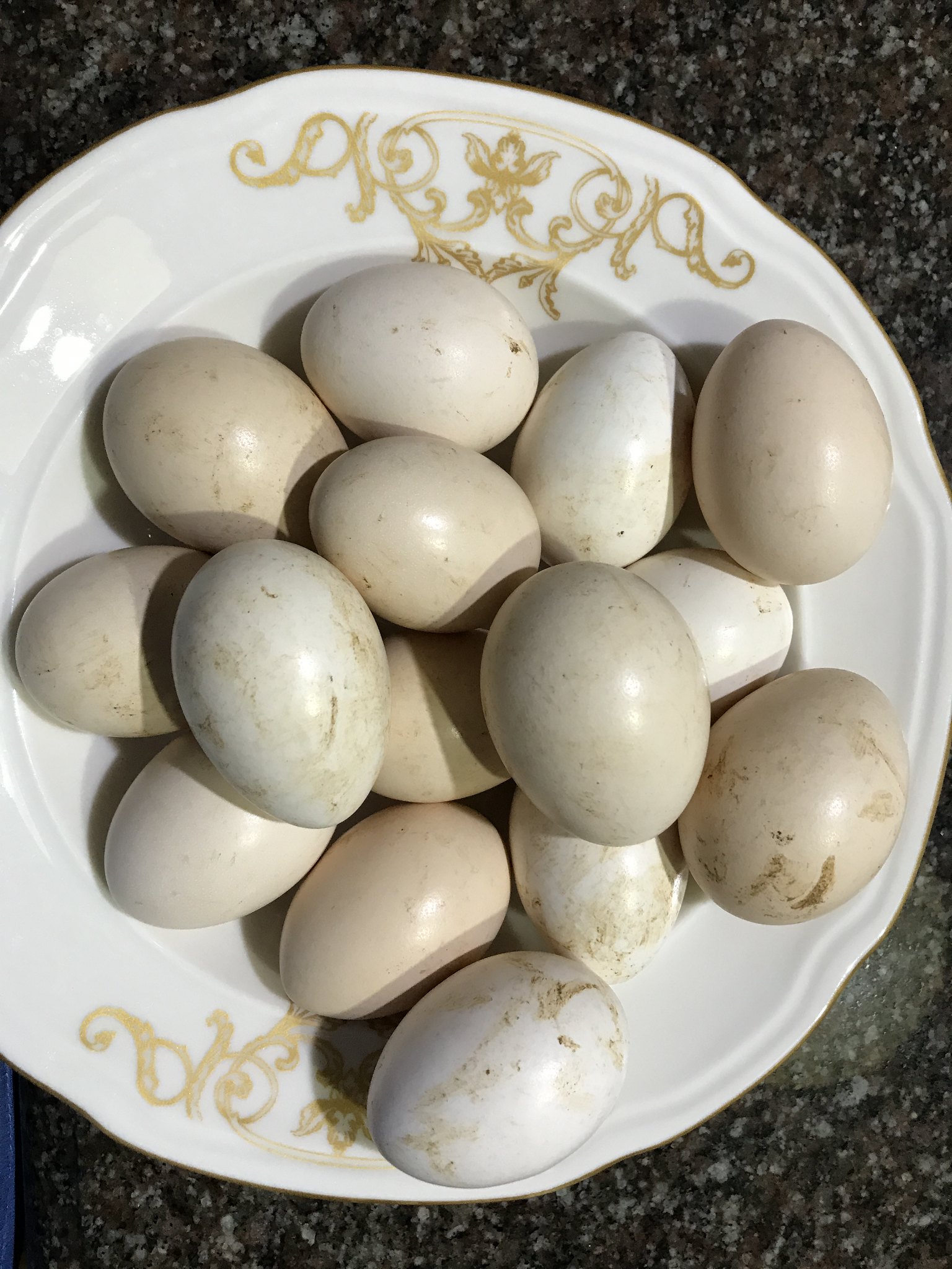 Native eggs July 15 2018 042