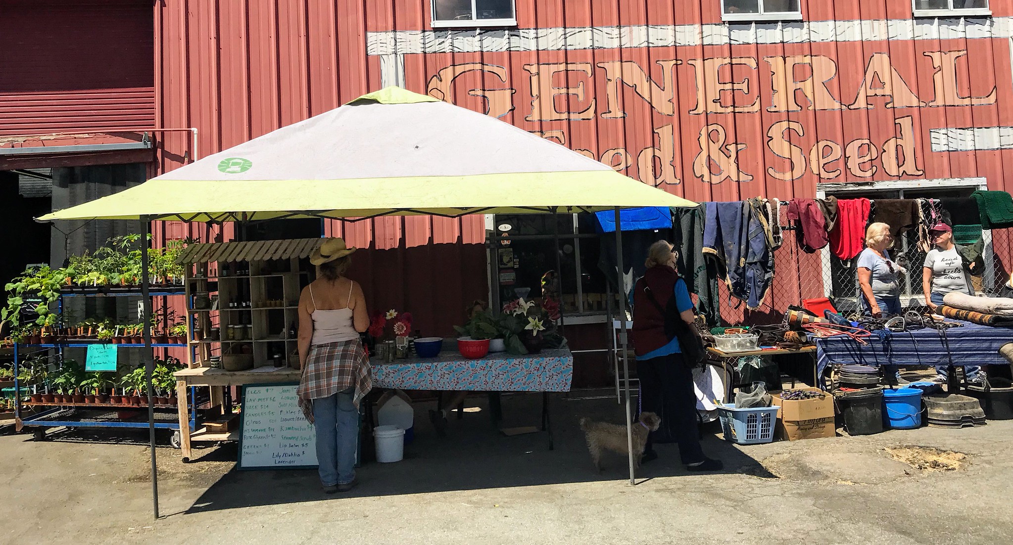 Feed & Seed farm stand