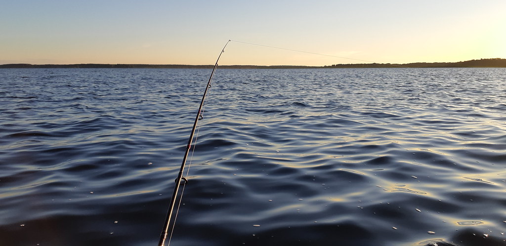 Один мой рыбацкий день поэтому, потому, поклёвки, только, озеро, Мишка, очень, клюёт, ничего, довольно, совсем, слишком, папой, дальше, домой, озере, лодке, рыбачить, много, место