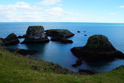 Thingvellir y Península de Snaefells - Islandia en grupo organizado (46)