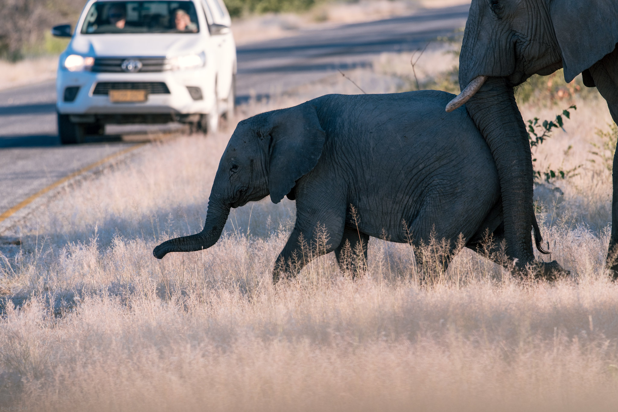 Namibia safari tour