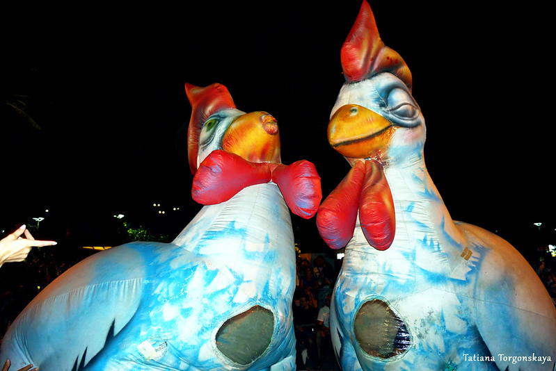 Курицы на Летнем карнавале в Которе