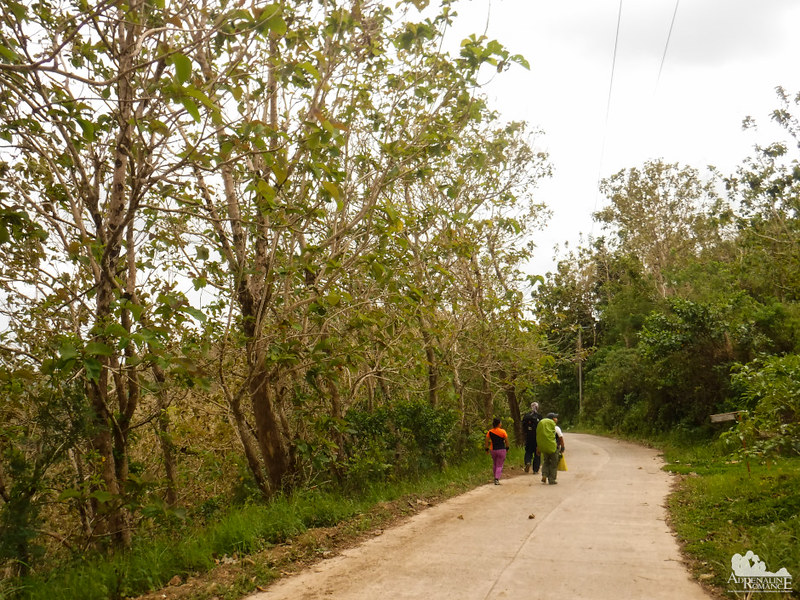 Pamutan, the road to home
