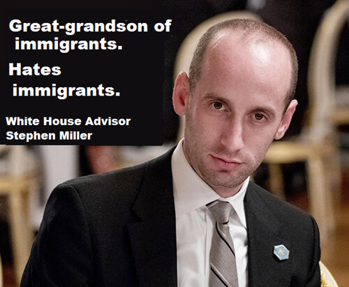 Stephen Miller Wouldn't Let His Own Great-Grandparents Into the US