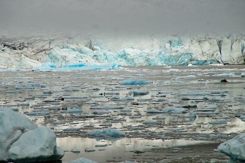 Más glaciares, icebergs, Skaftafell, Svartifoss y Skeiðarársandur - Islandia en grupo organizado (20)