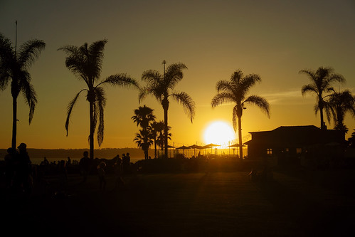 sunset california palms ocean pacific people