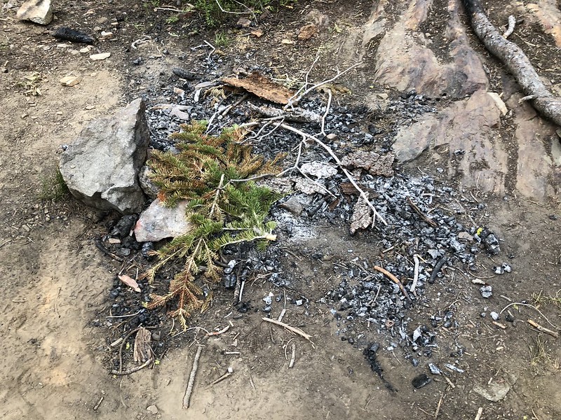 Illegal campfire