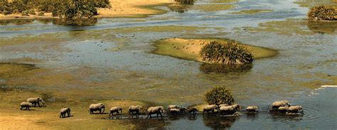 Parques Nacionales y reservas de Botswana: resumen y datos varios - BOTSWANA, ZIMBABWE Y CATARATAS VICTORIA: Tras la Senda de los Elefantes (24)