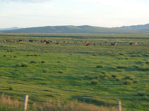 mongolia mongolei transmongolianrailway