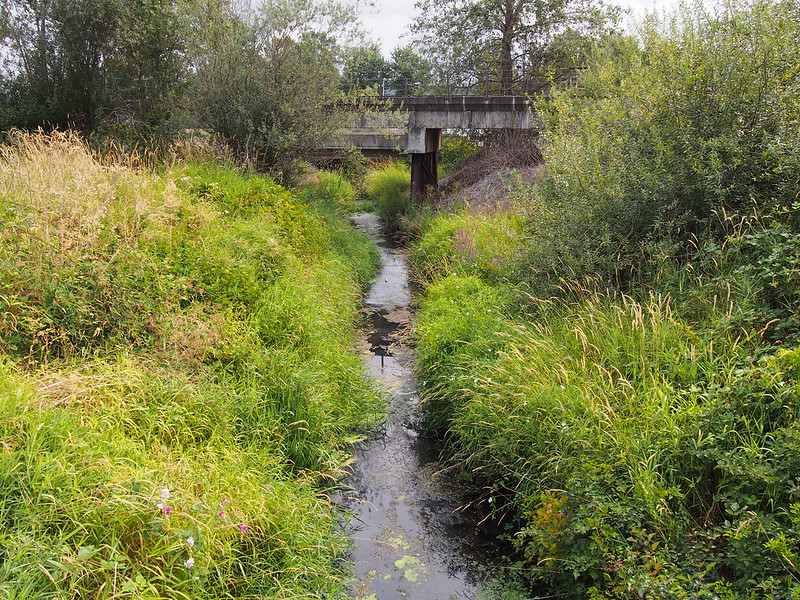 Lower Mill Creek