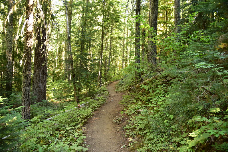 Duffy Lake Trail