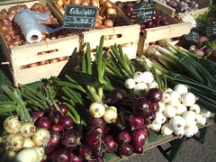 Onions make the force - Photo of Saint-Germain-sur-Sèves
