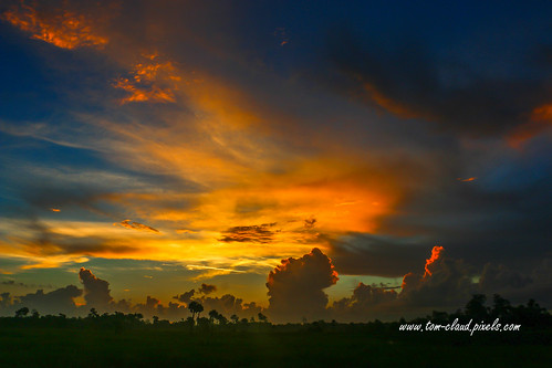 sun sunrise clouds cloudy weather morning marsh orange blue sky nature mothernature outdoors pineglades naturalarea pinegladesnaturalarea jupiter florida usa