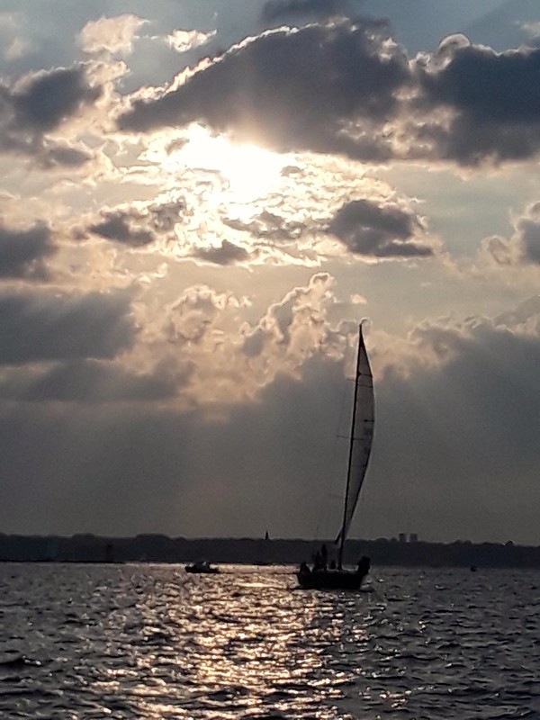 Sunset sail, Newport.