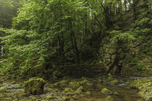 Rakov Škocjan, el valle de las cuevas y los puentes naturales, Naturaleza-Eslovenia (6)