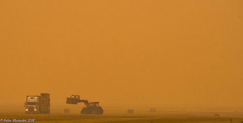 smoke nikon 810 harvest farming sky landscape alberta albertafarm
