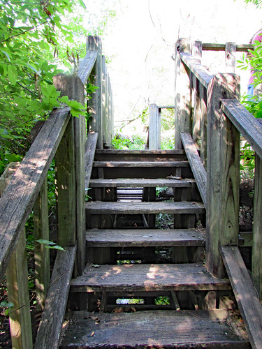 lumberton nc northcarolina robesoncounty outdoor outdoors outside nature natural jacobswamp trail walkway wood wooden step steps stairs sky canon powershot sx510hs bridgecamera