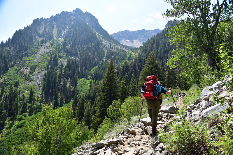 Ice Lake Trail