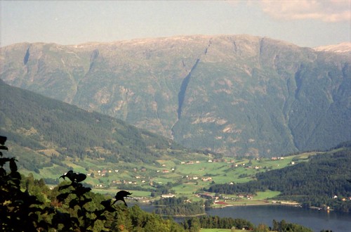 norway norge norwegianfjord fjord ulvikpollen scandinavia