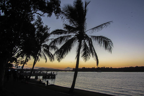 jetty sunshinecoast queensland australia river water sky noosaville sunset trees